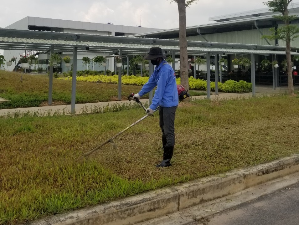 Dịch vụ cắt cỏ, cắt tỉa cây KCN Bình Dương