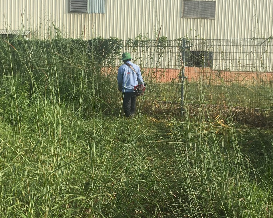 Ngoại thất xanh thực hiện cắt cỏ phát hoang Khu công nghiệp Đất Cuốc