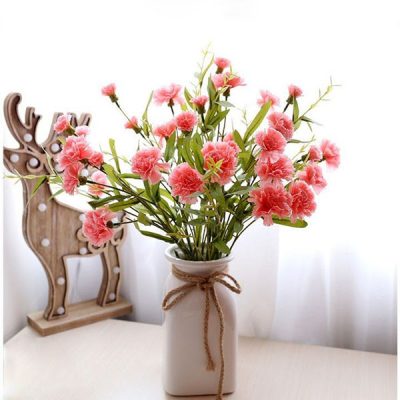Cây hoa Cẩm Chướng - Cây cảnh xinh xắn