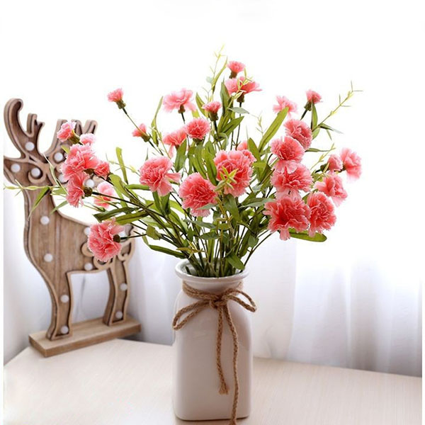 Những Hình ảnh HOA CẨM CHƯỚNG đẹp nhất và Ý NGHĨA HOA hoa cẩm chướng