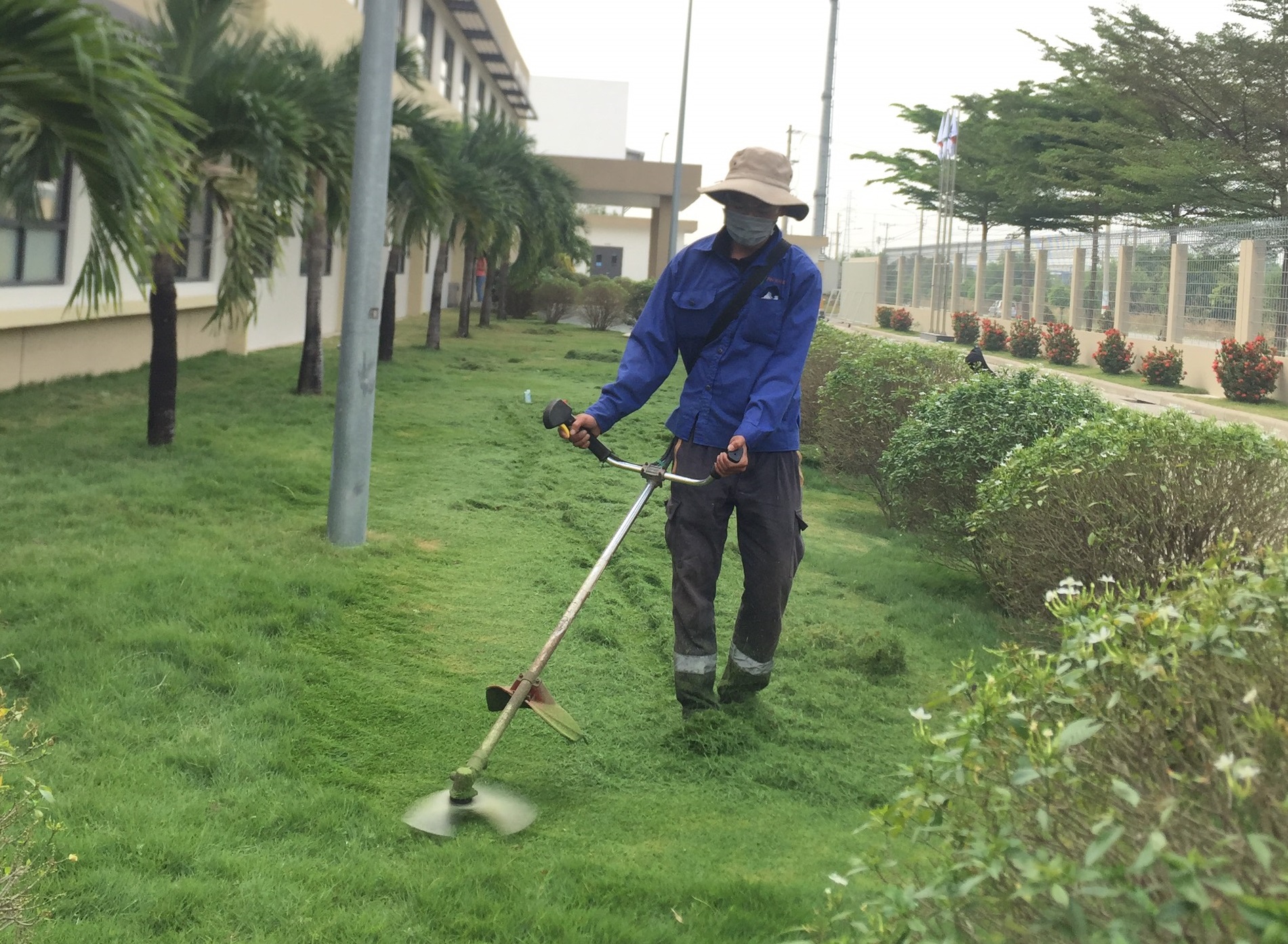Ngoại Thất Xanh thực hiện cắt cỏ tại khu công nghiệp Kim Huy Bình Dương