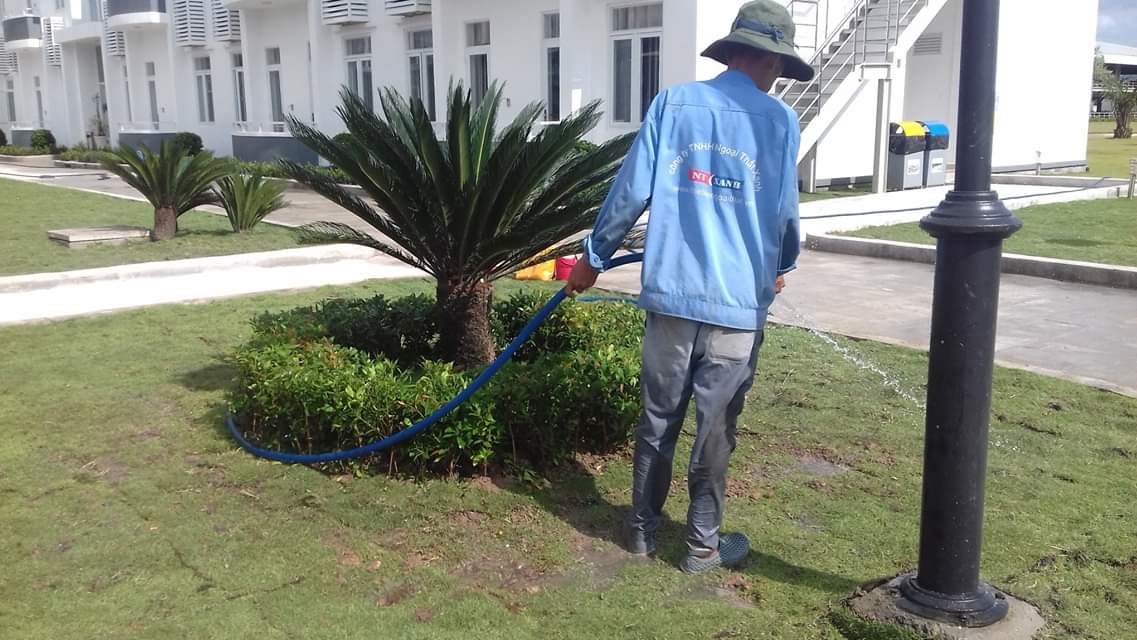 Ngoại Thất Xanh thực hiện trồng cỏ trồng cây xanh khu công nghiệp tại Bình Phước