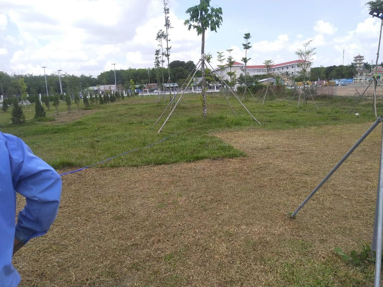 Nhân viên Ngoại Thất Xanh trồng cỏ trồng cây xanh tại khu công nghiệp Bình Lập