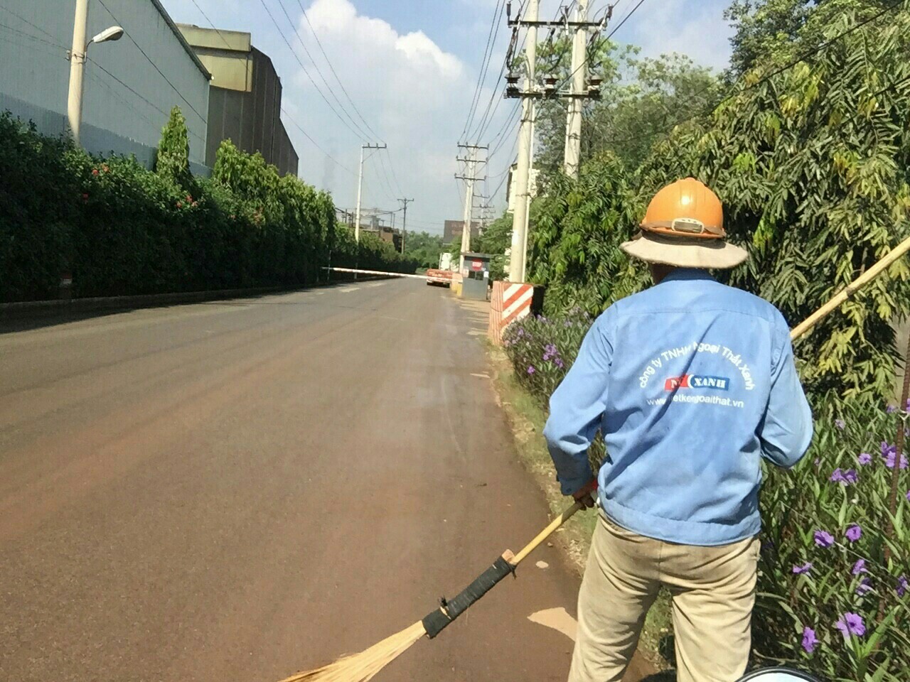 Ngoại Thất Xanh – dịch vụ cắt tỉa cây xanh tại Phú Giáo uy tín