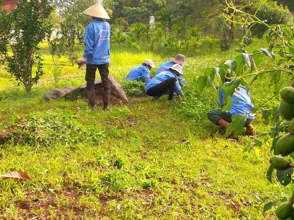 Ngoại Thất Xanh – đơn vị cung cấp dịch vụ cắt cỏ KCN Lai Hưng chất lượng, uy tín