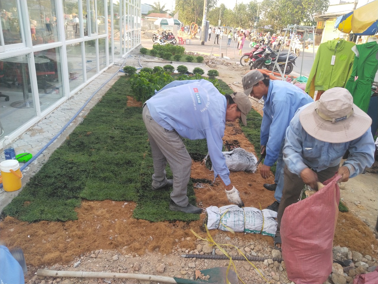 Quy trình của dịch vụ trồng cỏ tại Lâm Đồng 