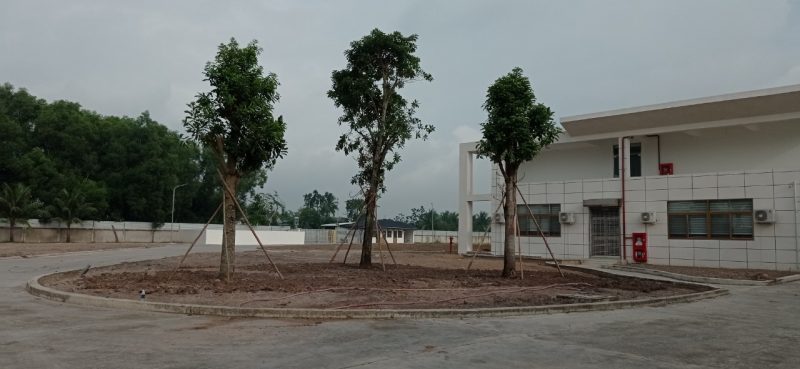 Công ty cây xanh ở Gia Nghĩa Đắk Nông
