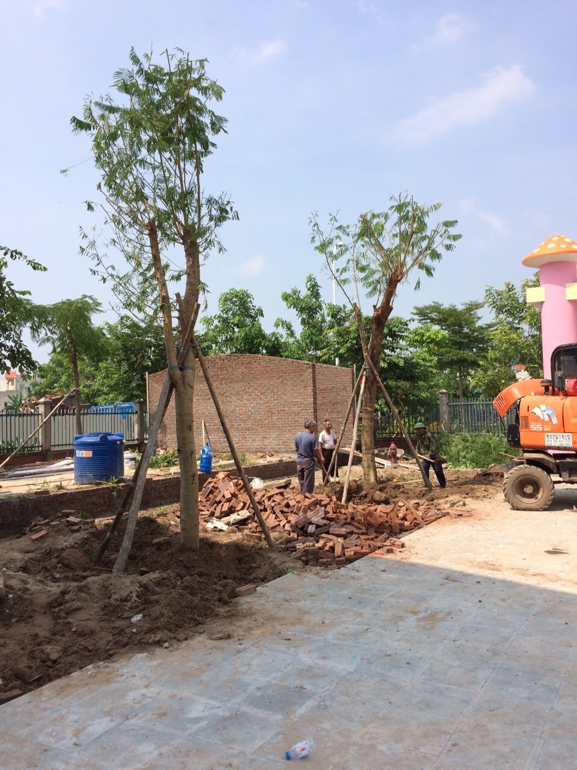 Đơn vị thi công trồng cây tại Biên Hòa Đồng Nai