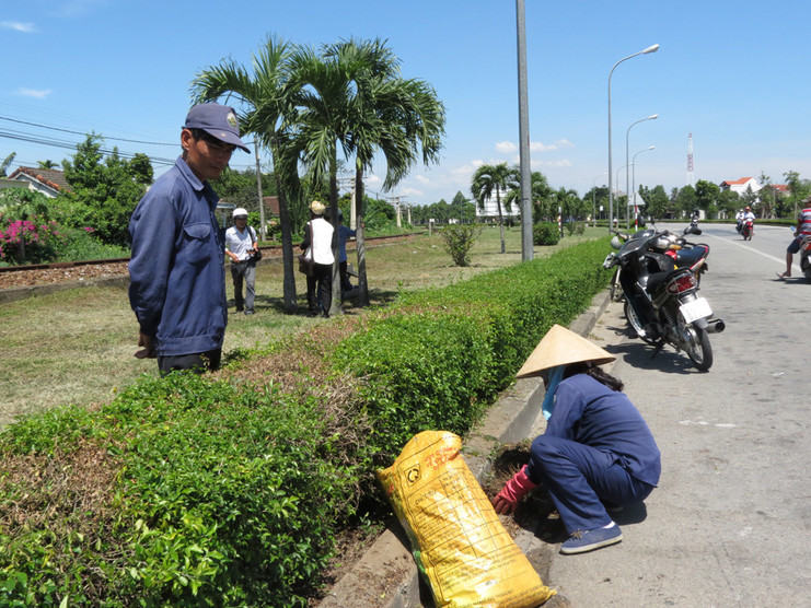 Ngoại Thất Xanh - đơn vị chăm sóc cây xanh ở KCN Đồng Xoài chất lượng