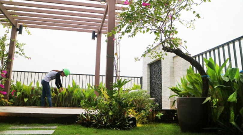 Những lợi ích khi lựa chọn dịch vụ của đơn vị chăm sóc cây xanh tại khu KCN Minh Hưng