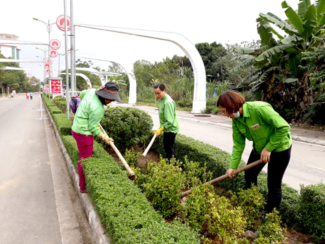 Nội Thất Xanh là địa chỉ đáng tin cậy cho dịch vụ chăm sóc cây xanh ở KCN Phước Đông