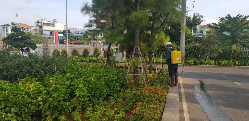 Đơn vị chuyên chăm sóc cây xanh ở KCN Trảng Bàng