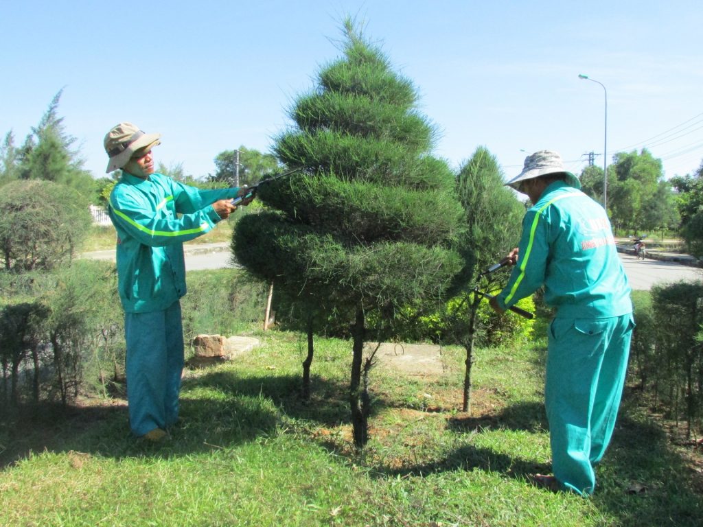 Ngoại Thất Xanh – đơn vị cung cấp dịch vụ chăm sóc cây xanh tại KCN Bắc Tân Tập