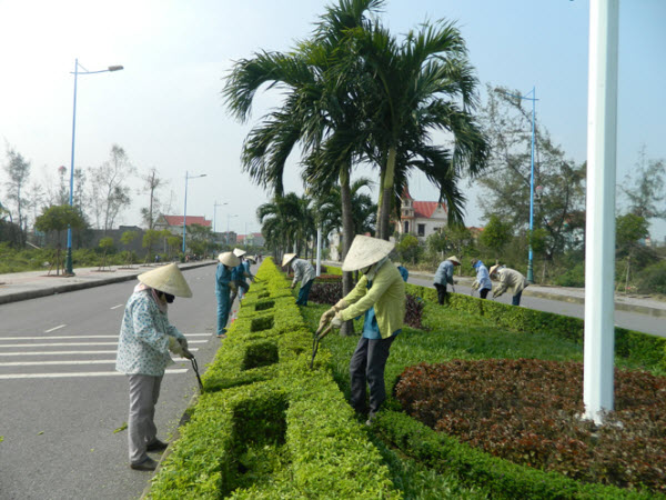 Quy trình dịch vụ chăm sóc cây xanh KCN Cầu Tràm