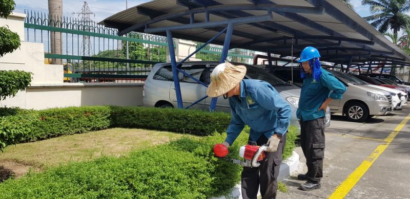 Nơi cung cấp dịch vụ chăm sóc cây xanh KCN Tân Thành