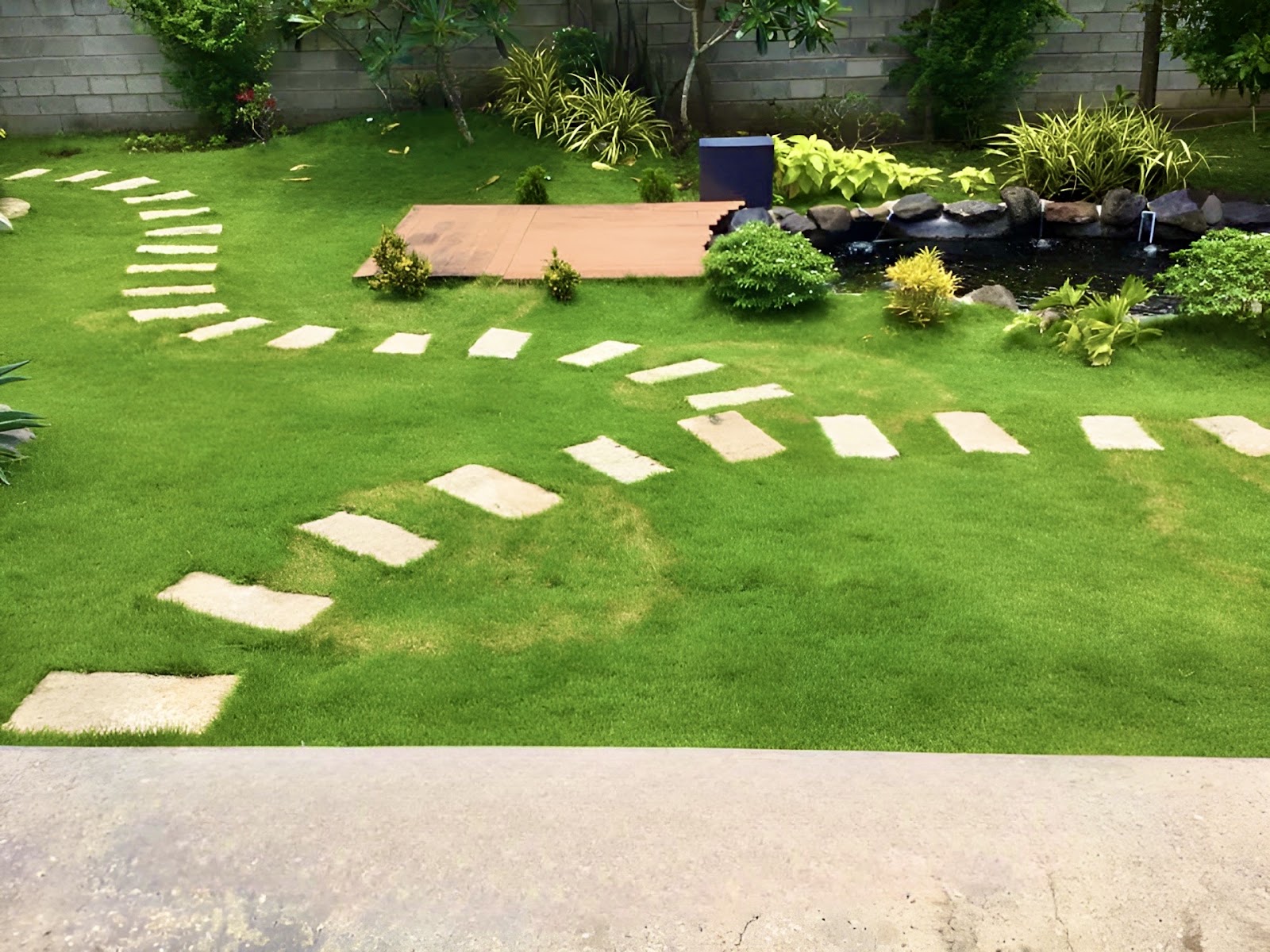 Trồng cỏ sân vườn tại Thủ Dầu Một