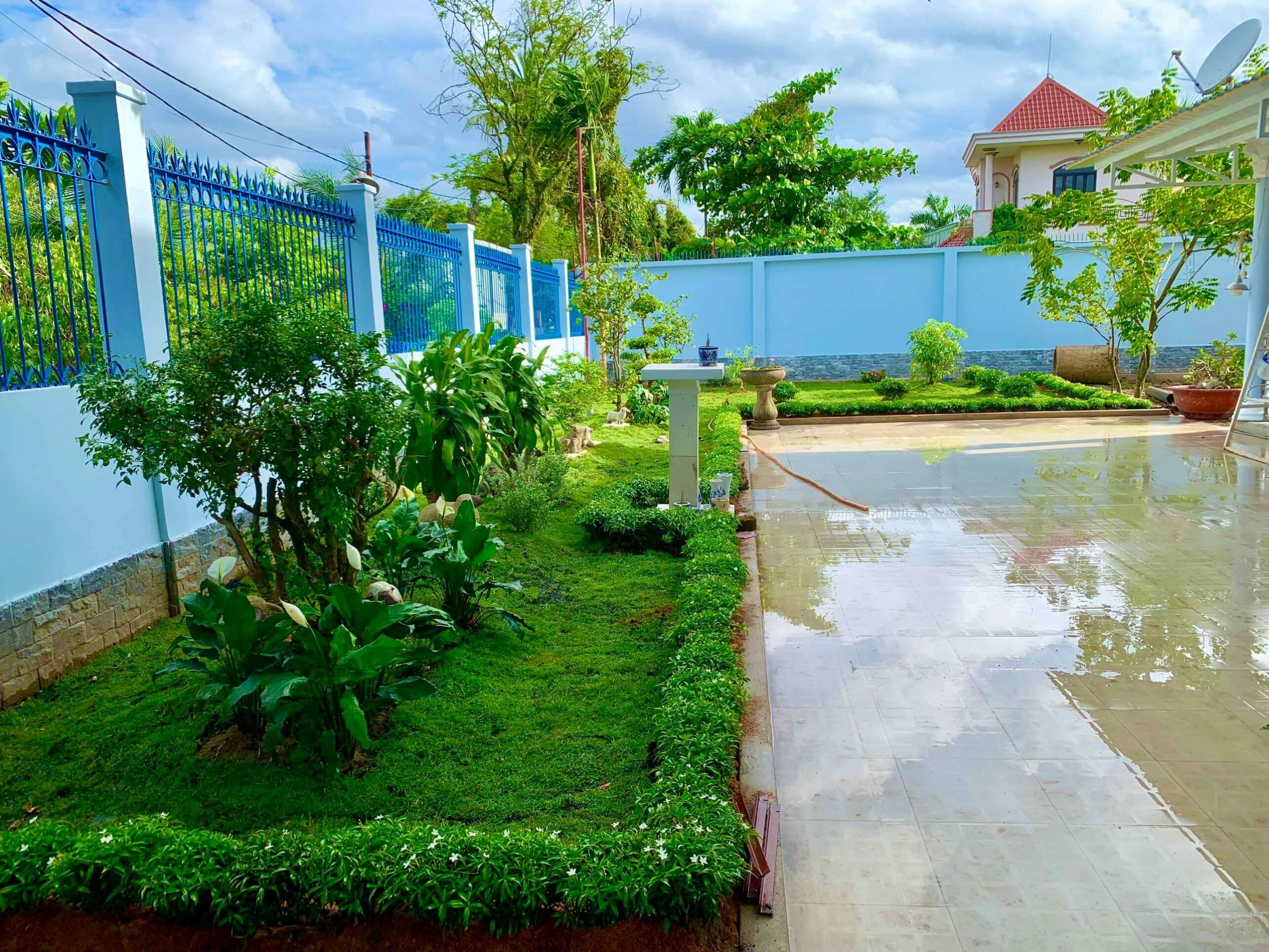 Dịch vụ trồng cỏ sân vườn tại Bàu Bàng