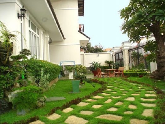 trồng cỏ sân vườn tại Bàu Bàng